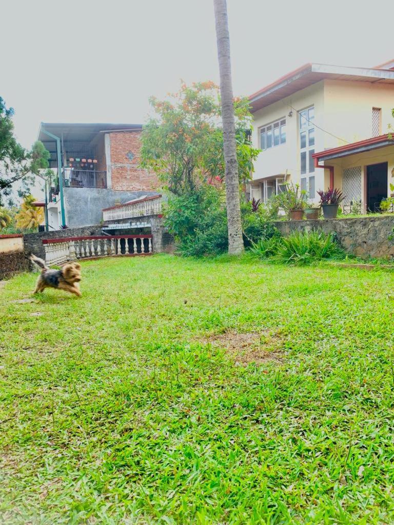 No 06 Veediya Bandara Lane Bahirawakanda Kandy Dış mekan fotoğraf